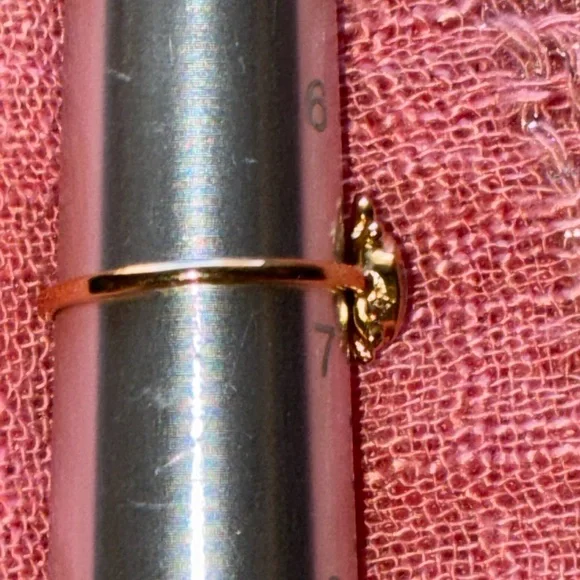 Gold Turtle Ring with Turquoise and Red Stone - Size 6 & 3/4ths - Picture 3 of 4